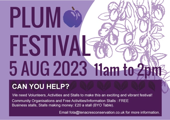 Flyer for the Ten Acres Plum Festival