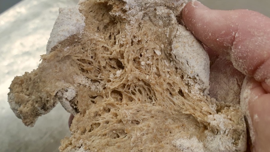 Desem sourdough ripped open to show the air holes from microbial activity